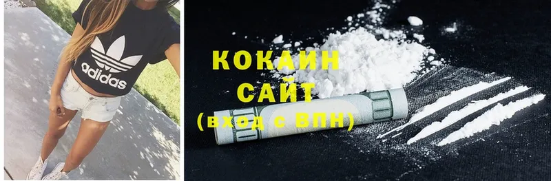 закладка  Анива  Cocaine Fish Scale 